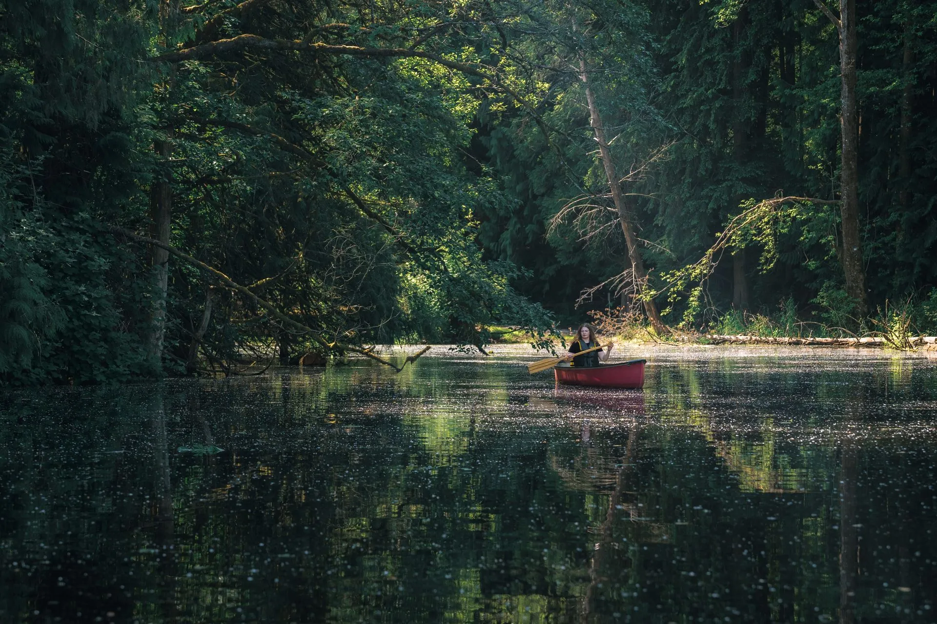 Frau paddelt im roten Kanu über einen stillen Waldsee